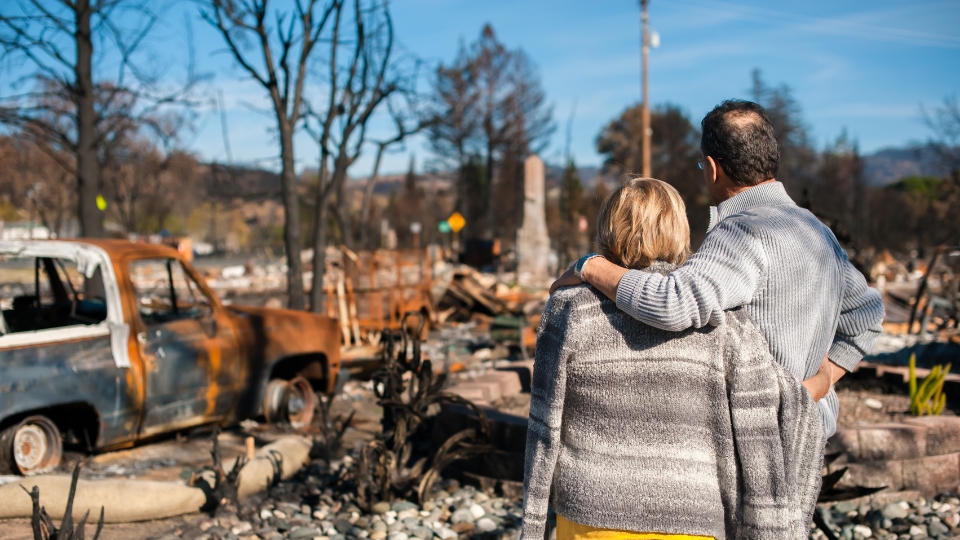 Couple surveying wildfire destruction in Los Angeles, standing together and looking at the burned remains of their home and neighborhood